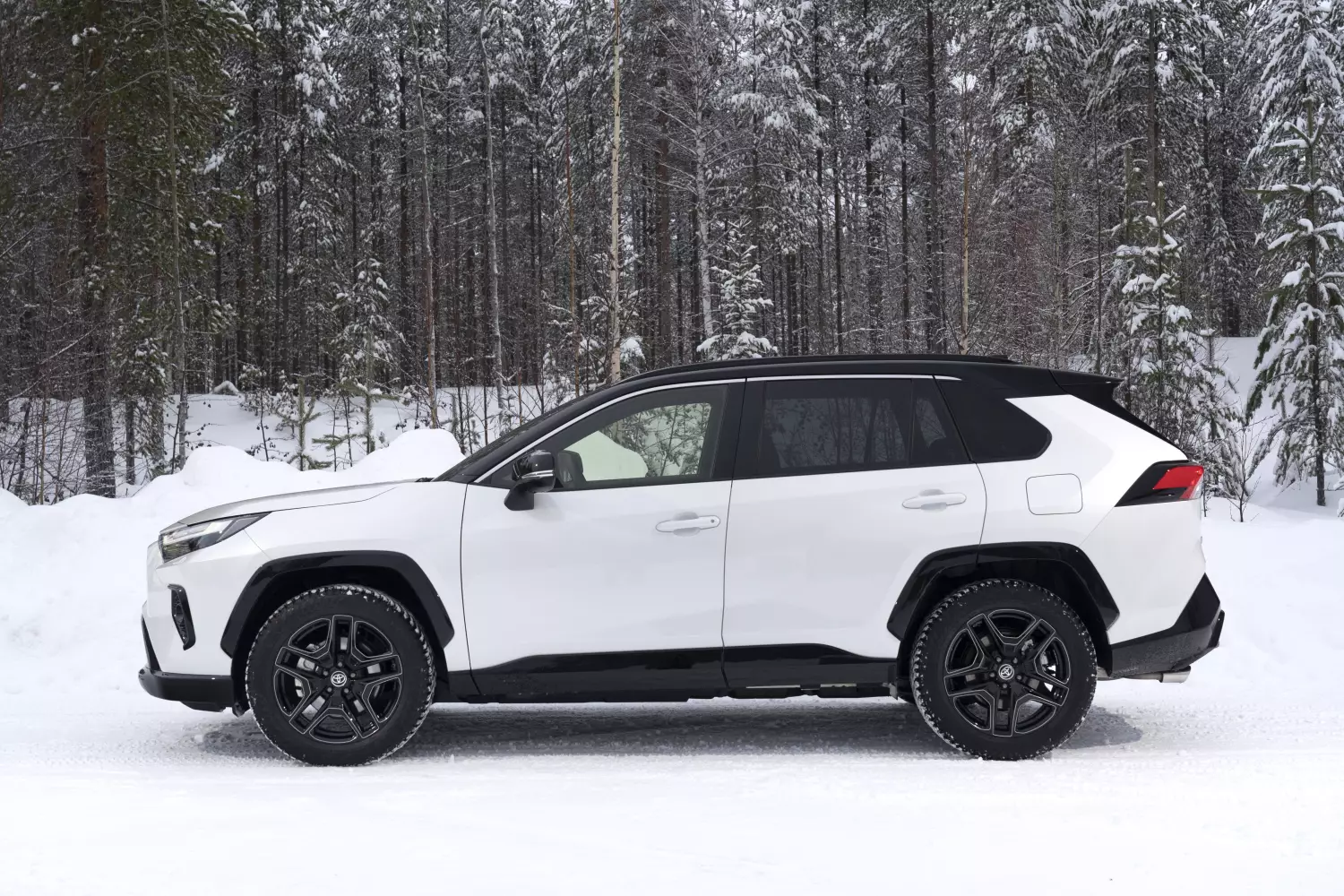 Toyota RAV4 2024