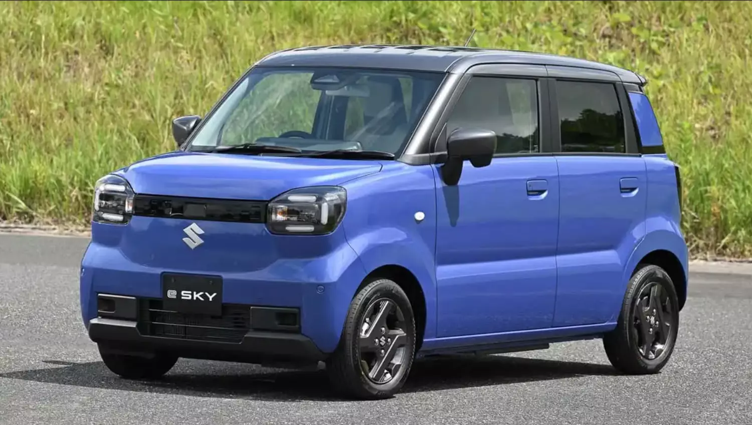 Suzuki e Sky