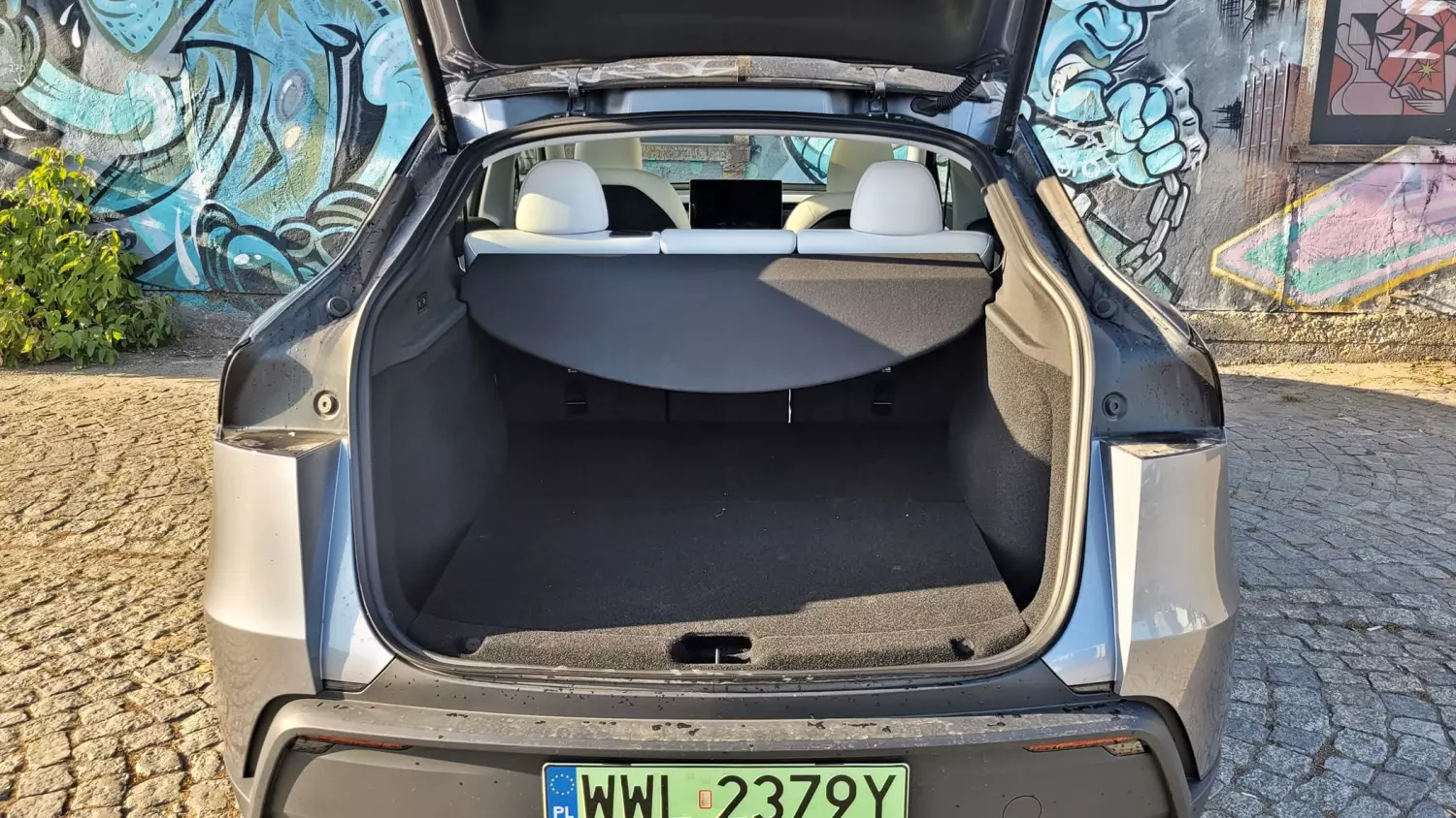 Tesla Model Y Juniper 