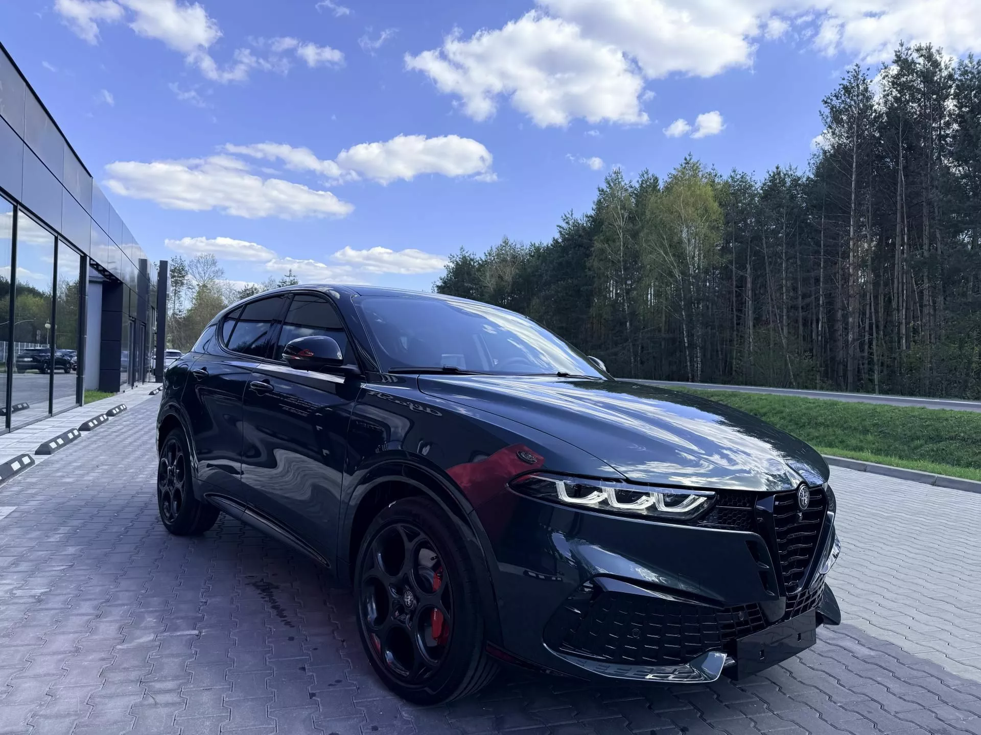 ALFA ROMEO Tonale - zdjęcie 10