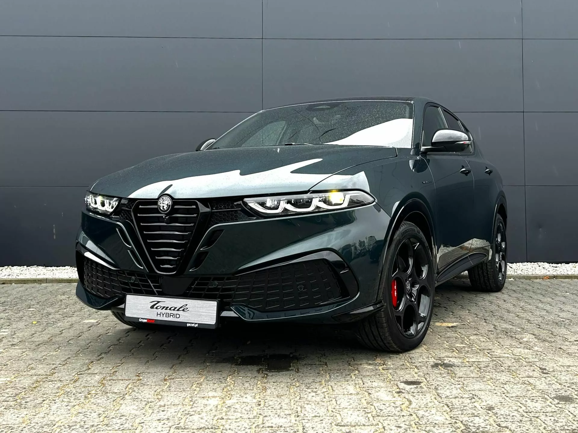 ALFA ROMEO Tonale - zdjęcie 19