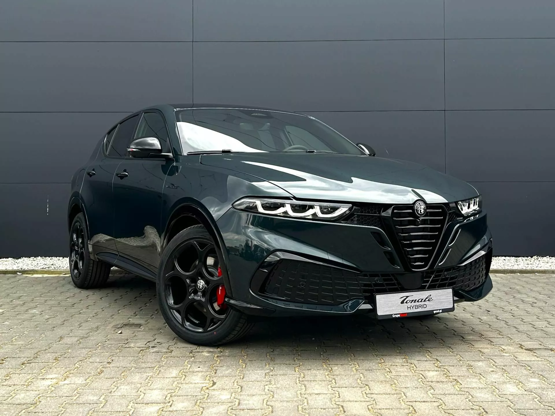 ALFA ROMEO Tonale - zdjęcie 9