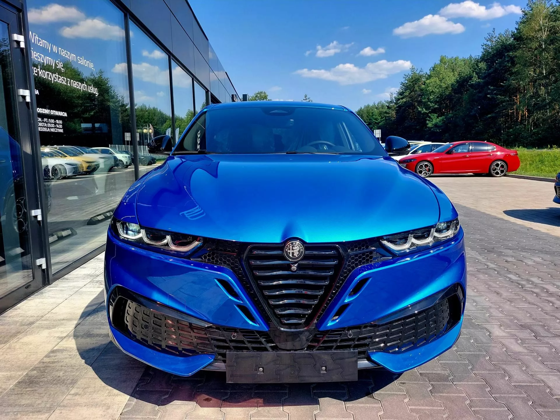 ALFA ROMEO Tonale - zdjęcie 13
