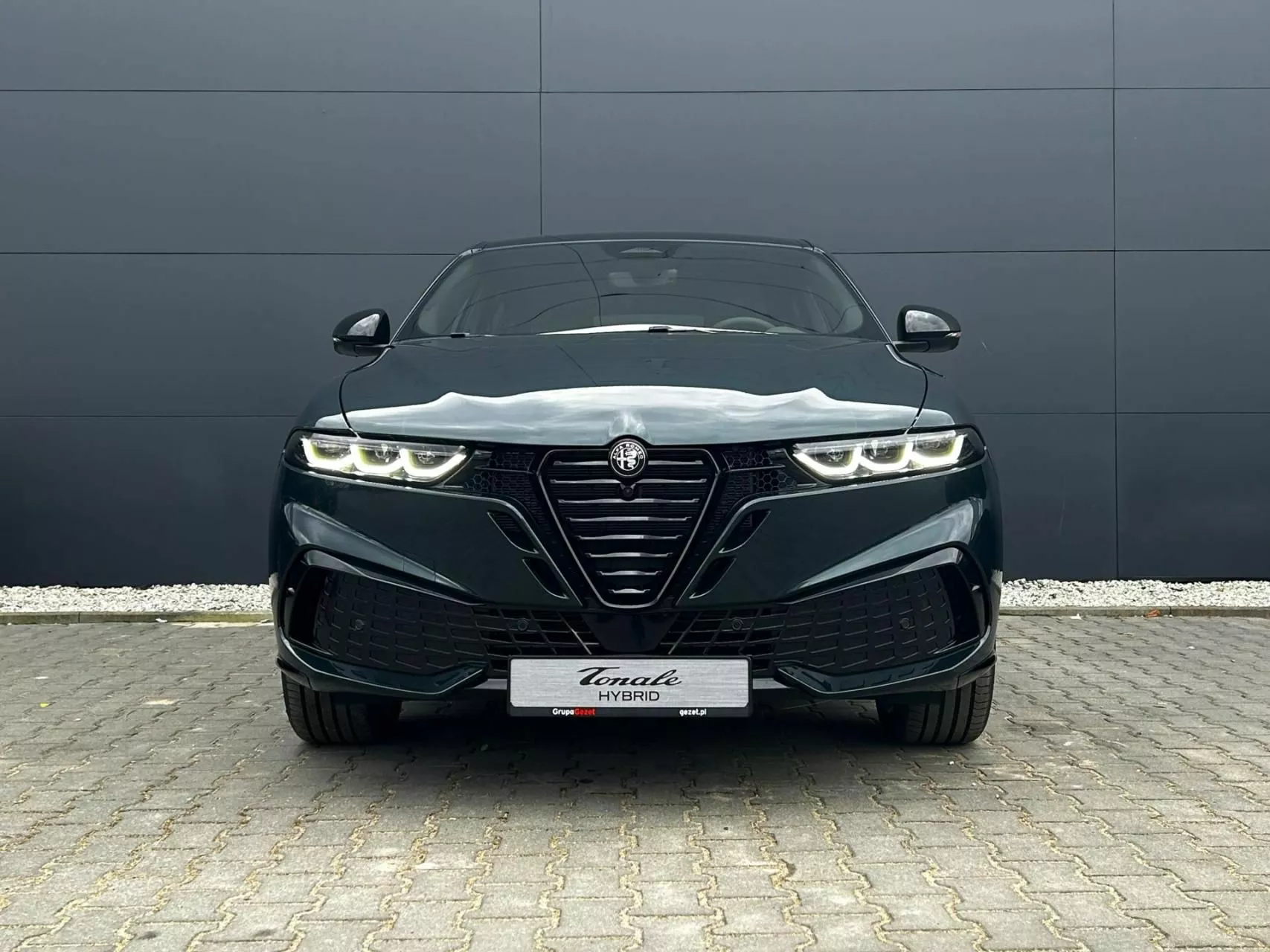 ALFA ROMEO Tonale - zdjęcie 10