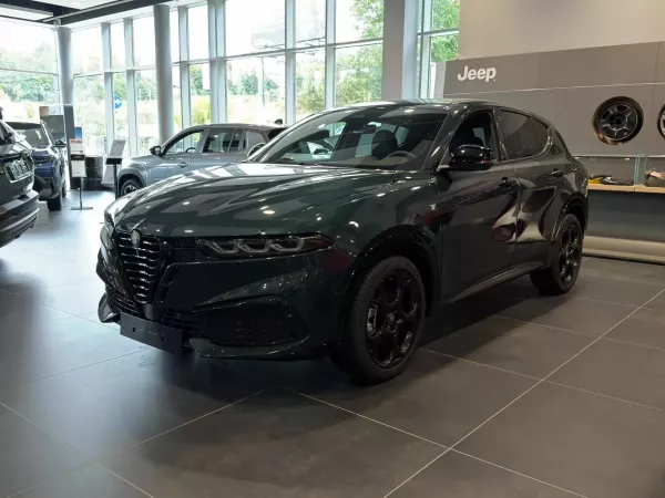 ALFA ROMEO Tonale - zdjęcie 23