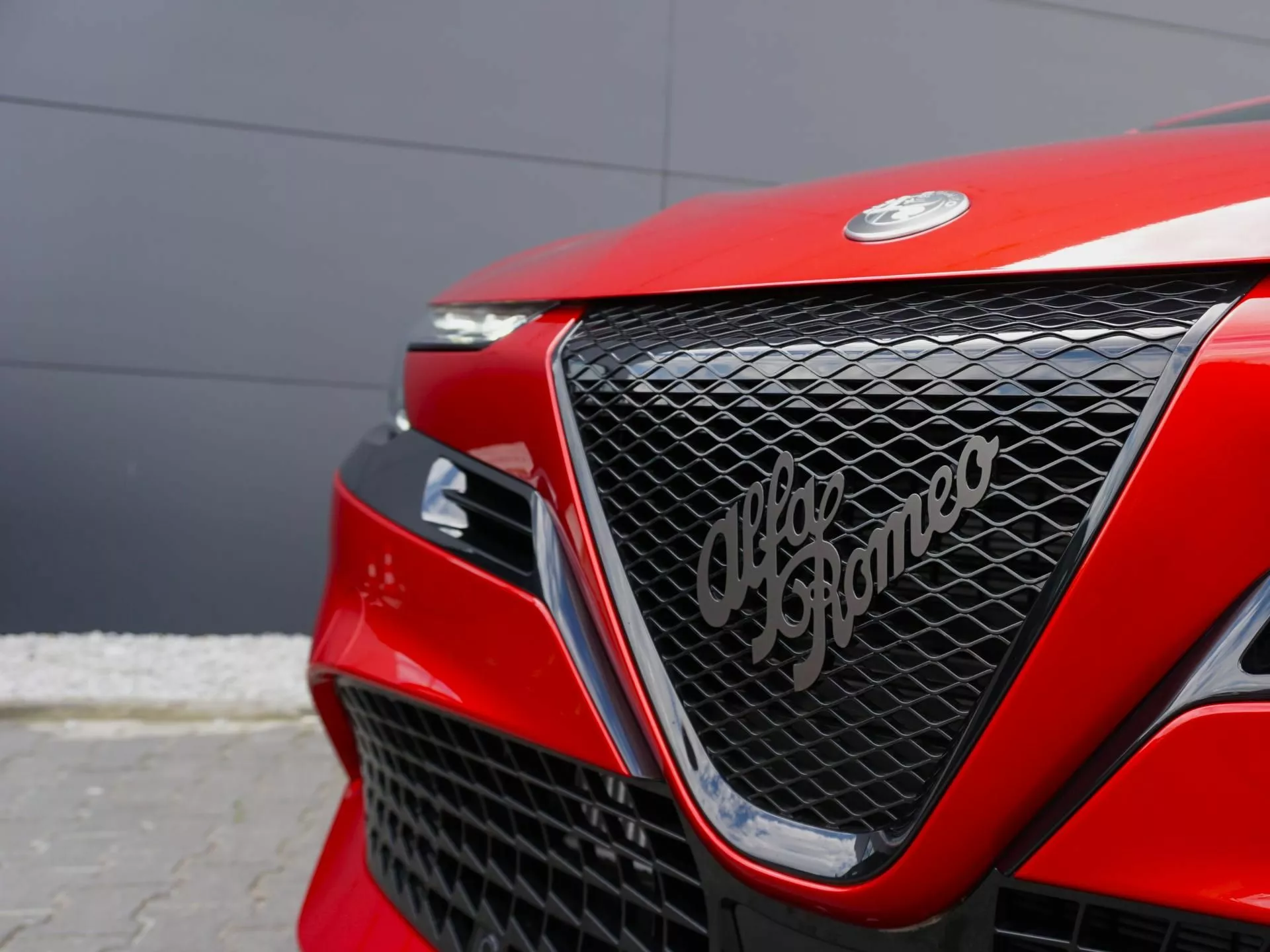 ALFA ROMEO Junior - zdjęcie 25