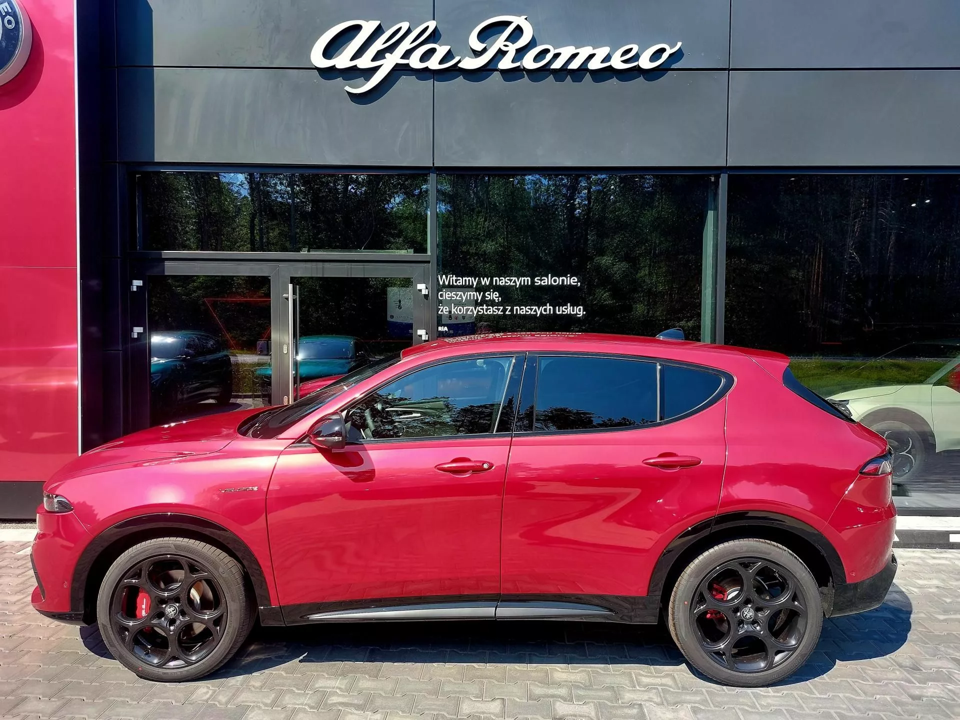 ALFA ROMEO Tonale - zdjęcie 10