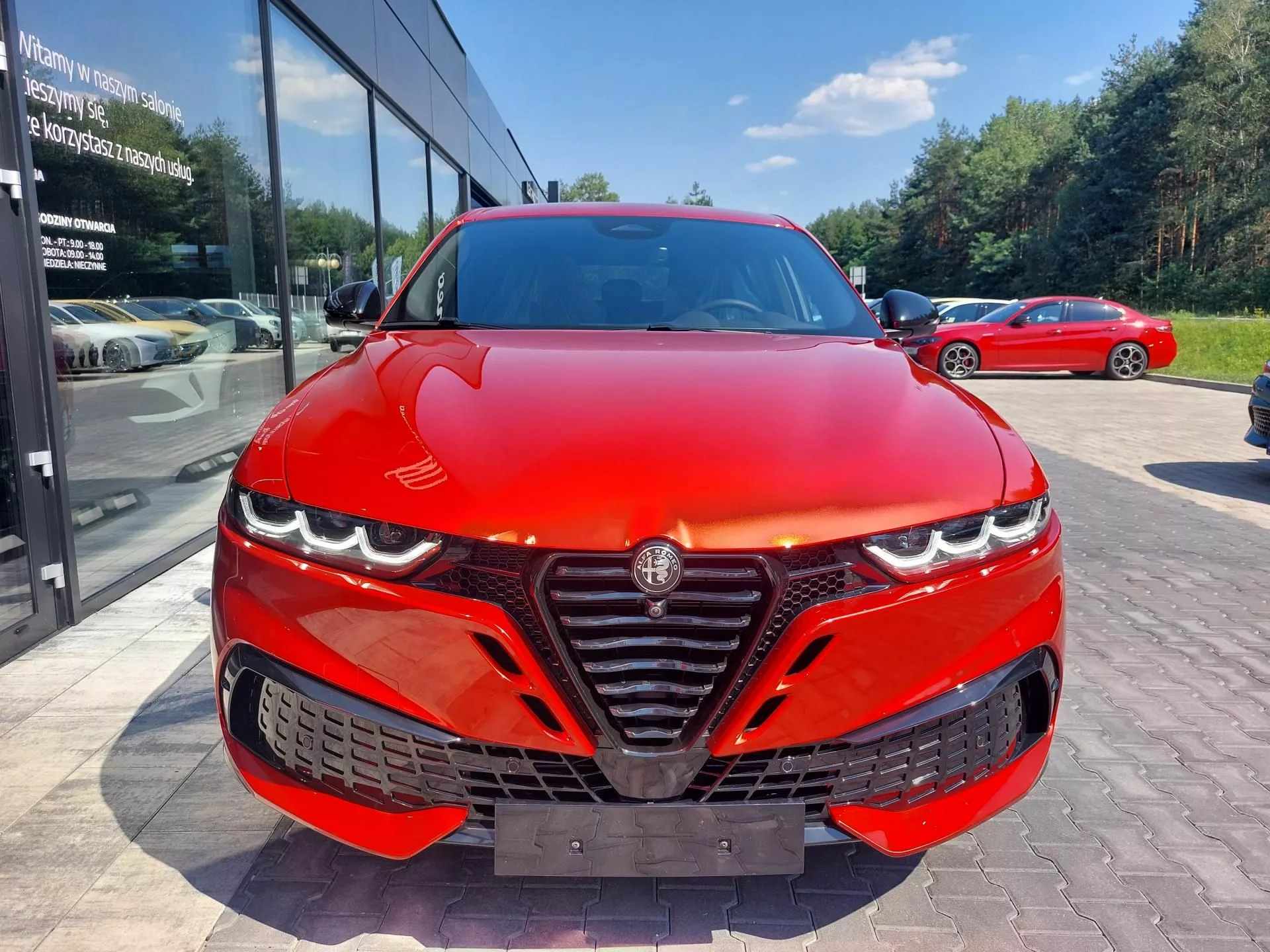 ALFA ROMEO Tonale - zdjęcie 13